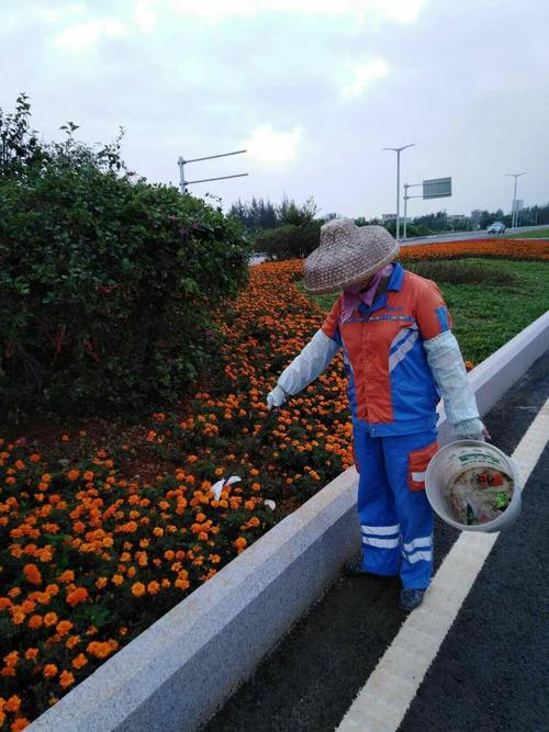 【海口环卫】京兰公司:4月5日关于江二大道清扫保洁工作情况汇报