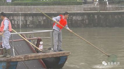 《我在奉贤的这五年》石志刚:水清岸绿 愿望在慢慢实现