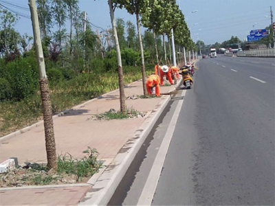 曹范街道--深入推进城镇提升,助力幸福宜居家园建设