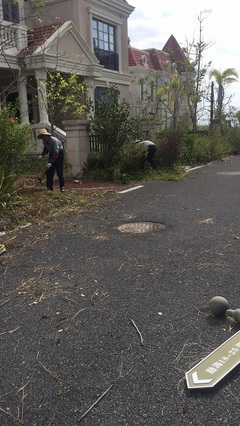 东莞道路清洁招标_市政道路保洁专业服务商