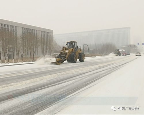 前天朝阳下大雪,凌晨3点有人拍下这一幕,让人泪目...