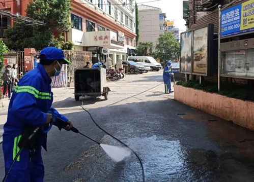 从墙根到墙根 普陀这支队伍清除垃圾无死角