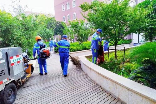 道路清扫保洁 公共环境消杀 他们在行动