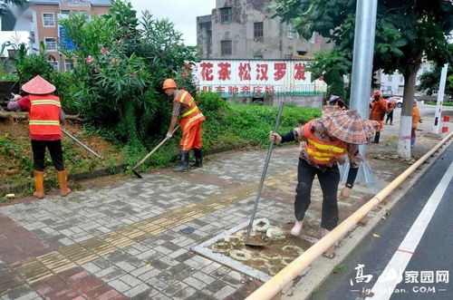 做好乡镇道路清洁,营造整洁畅通道路环境
