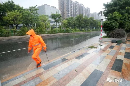 台风过后 山竹走了 他们还在