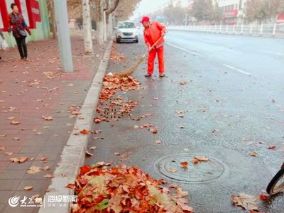 一天清扫落叶近10吨 胶州环卫工人迎来道路保洁“最忙季”