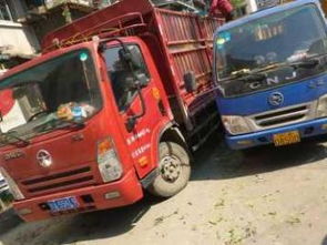 图 优质商家 小区树枝清理 道路树枝清理 砍树 成都鲜花绿植