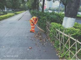 开展“提质专项行动” 提升道路清扫保洁 精细化管理水平