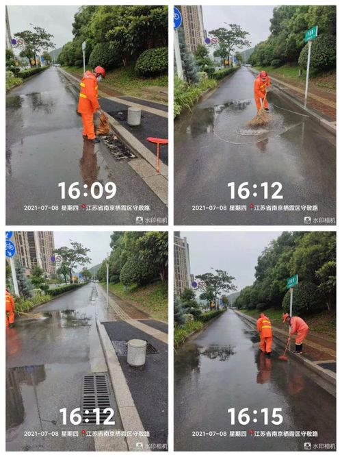 仙林街道开展雨后道路清理工作
