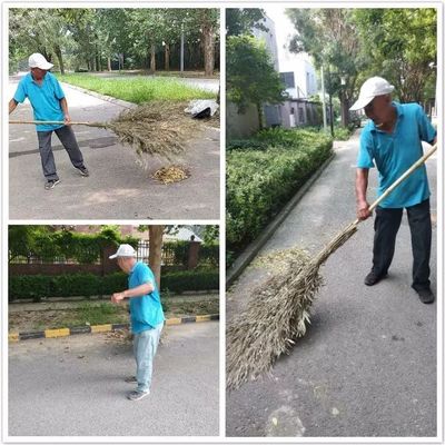 MOMΛ万万树服务中心第32周工作汇报