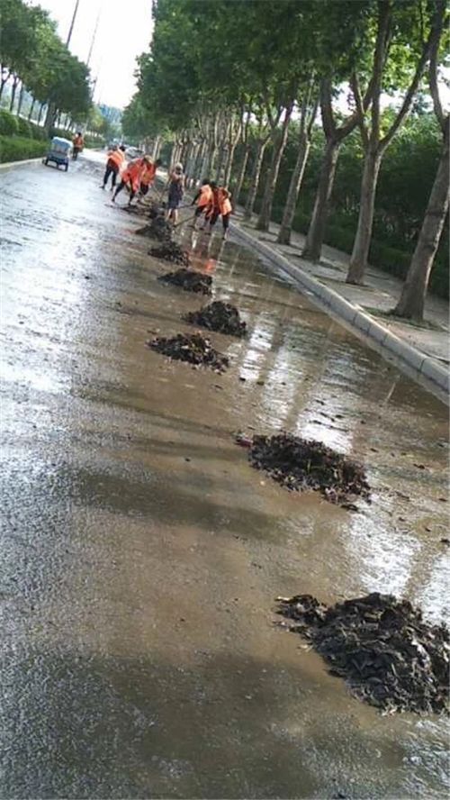 开发区组织开展道路清扫清洗
