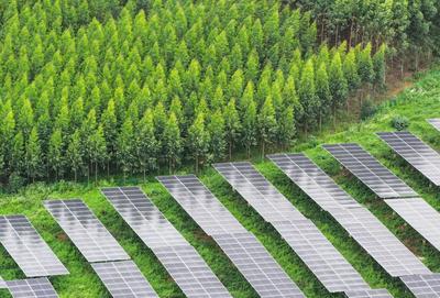 强势“超车”!通威组件2023年全球出货量跃居前五!
