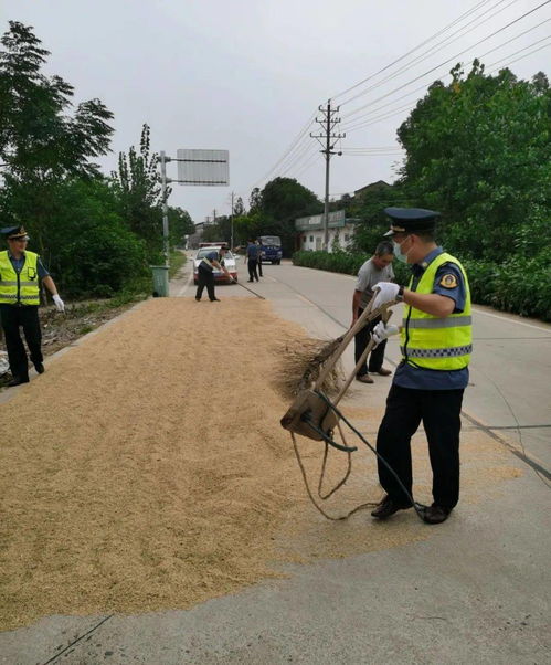 清理打场晒粮 减负道路交通