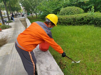 点赞!为了道路整洁,他们天刚亮就开始忙碌