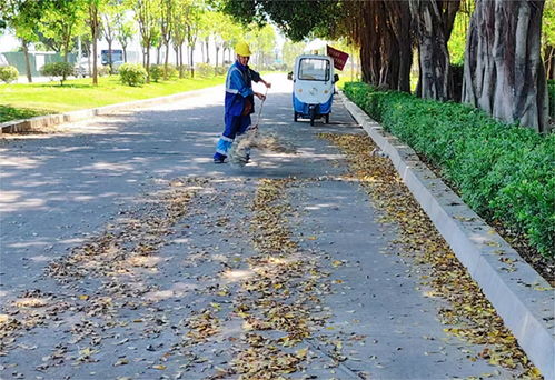 金顺环境 净 行动 织密城市清洁网,共绘文明新画卷