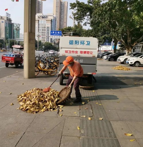 城管进行时丨落叶随风飘,环卫作业忙
