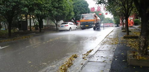冬季道路清扫保洁 寒风落叶中坚守的仁仁洁环卫人