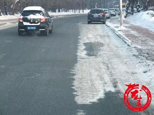 6个检查组 哈尔滨的这些街路 小区因清冰雪问题被通报