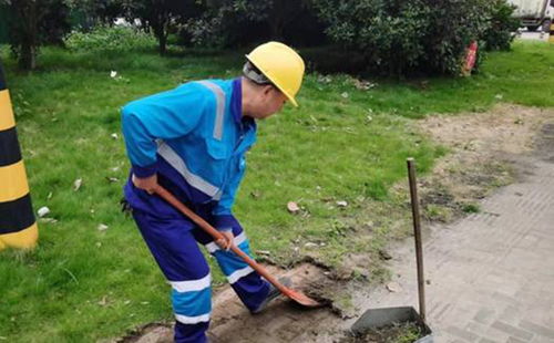 福建金顺环境 道路卫生专项大清理,打造洁净城市新风貌