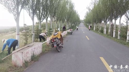 兴丰镇开展道路沿线杂草集中清理专项行动