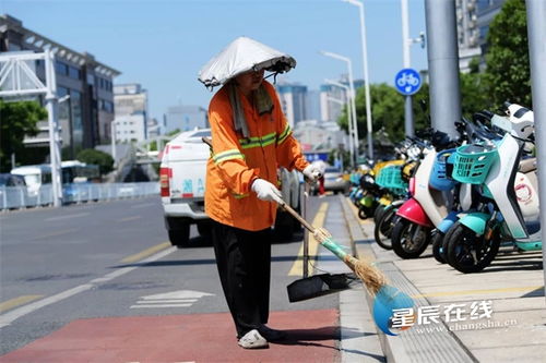 高温下的坚守 汗水凝聚芙蓉力量