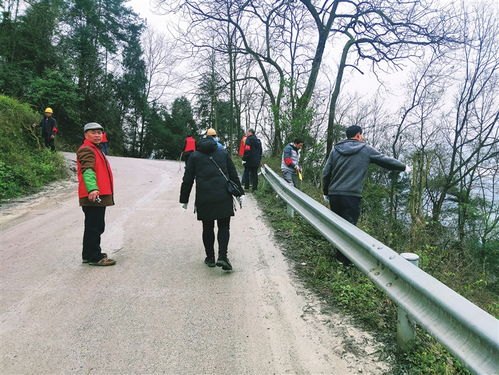 志愿服务暖人心 芋荷村志愿者合力清理道路垃圾