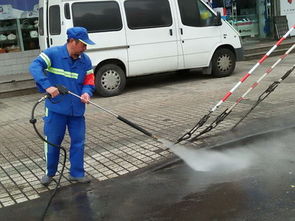 上海植物园垃圾清运工作 守护绿色空间的清洁卫士