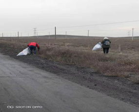 人人动手清理落叶 净化人居环境道路清洁