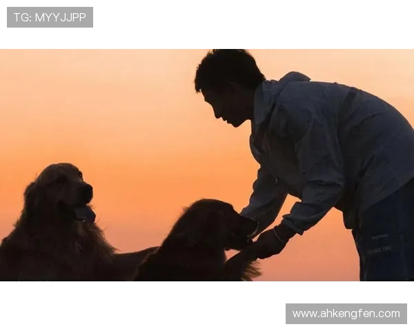 99%的人没看懂的《XXXX》:3个惊天反转,结局太虐心 99%的人没看懂的《XXXX》:3个惊天反转,结局太虐心