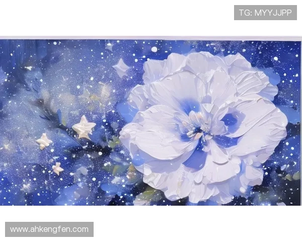 星辰低语:解密“第三类接触”,我们并不孤单?