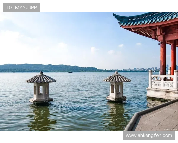 海鸥飞处,心之所向:一场关于自由与梦想的诗意追寻