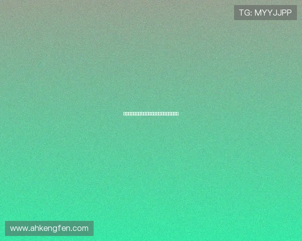 屋顶上的猫：都市丛林里的孤独行者与温暖守望者